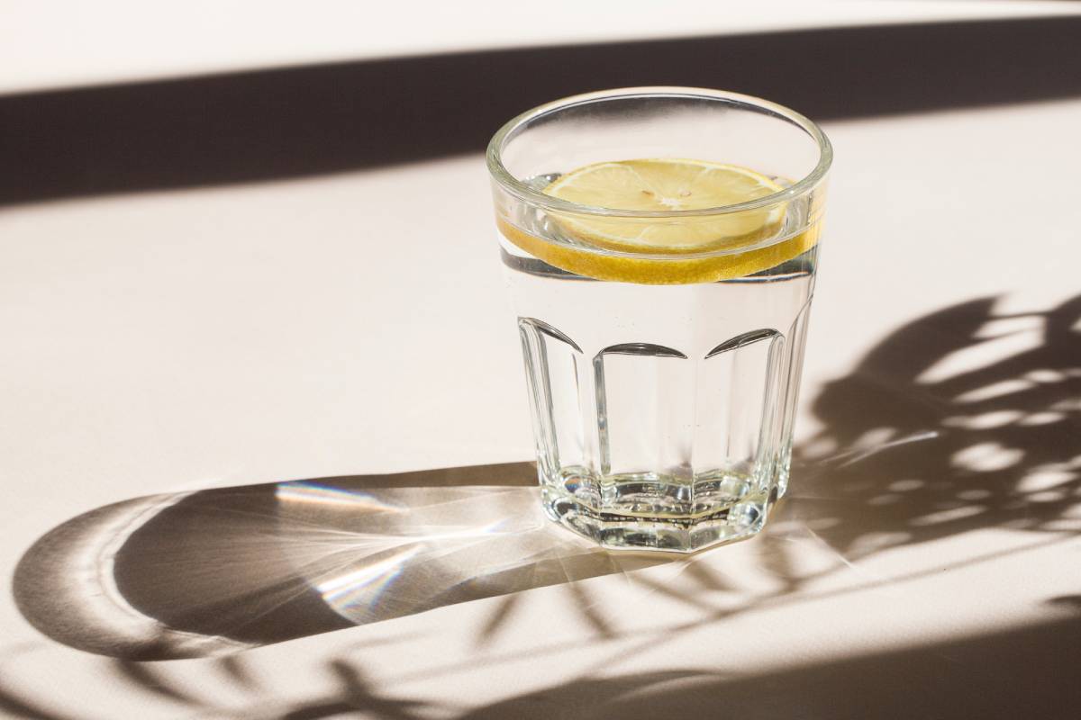 glass of water with lemon slices on beige background with shadow of palm leaves