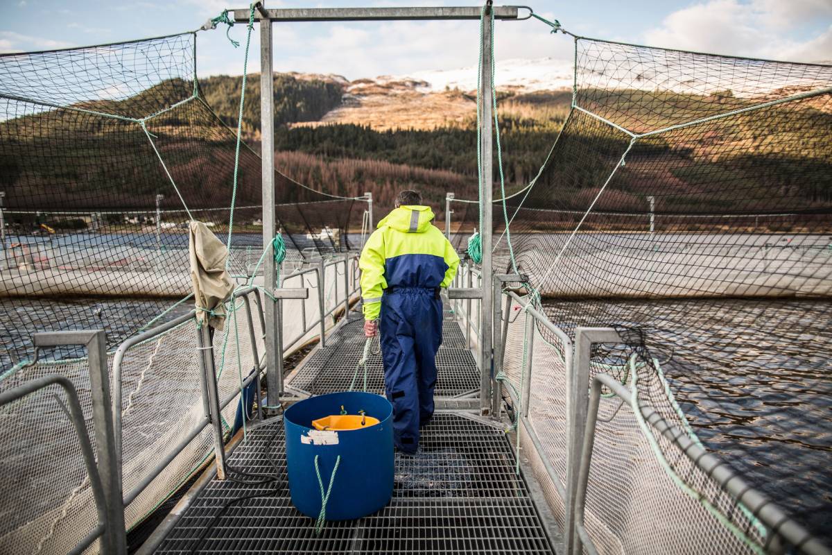 Worker at salmon farm in rural lake